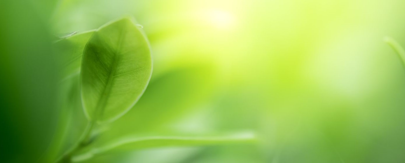 lenterecepten_groen_blad_waterdrinken